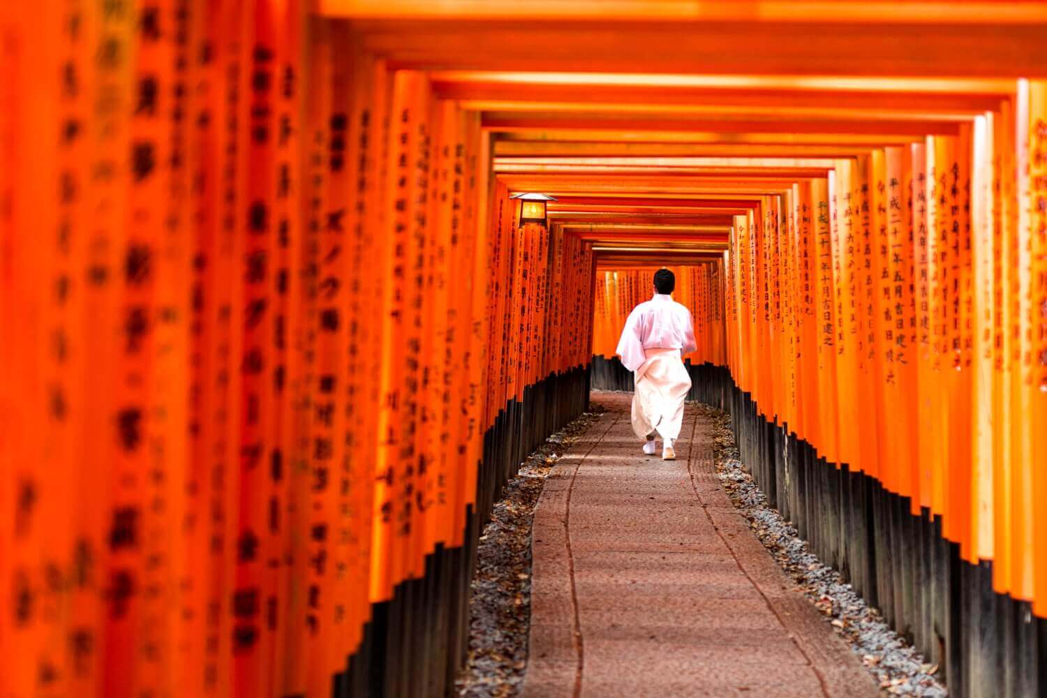 Japan Korea - Bastian Maria