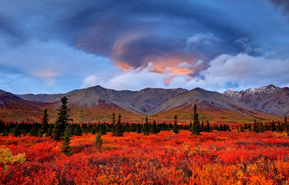 Alaska - Bernd Römmelt