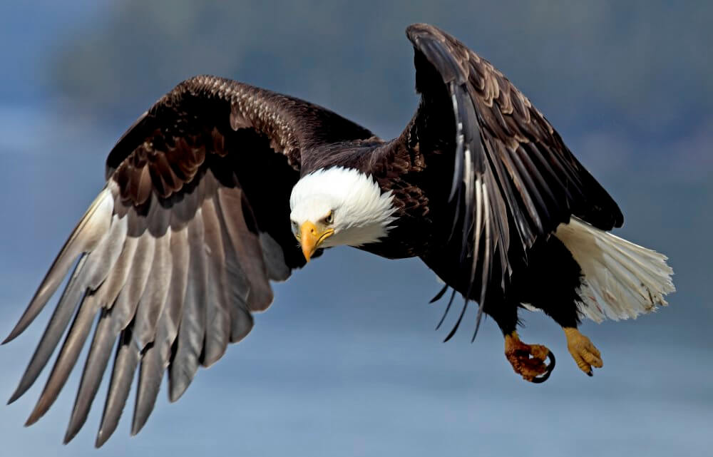 Kanada - Bernd Römmelt