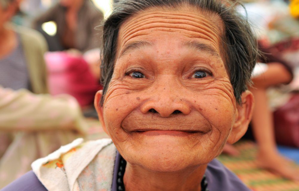 Asien - Zwerger & Schoner