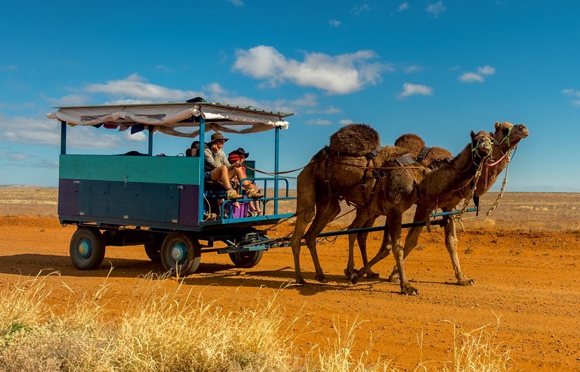 Australien - Markus Blum