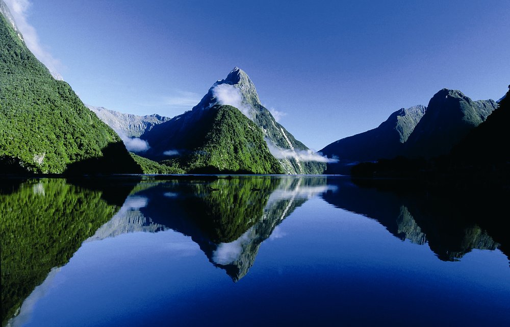 Neuseeland - Tobias Hauser