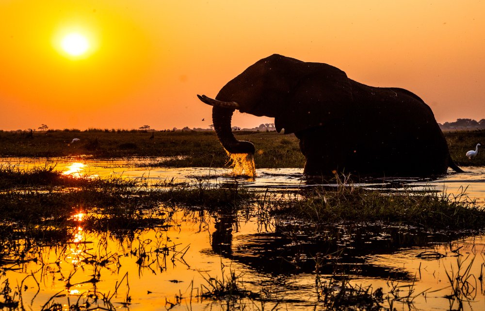 Afrika - Josef Niedermeier