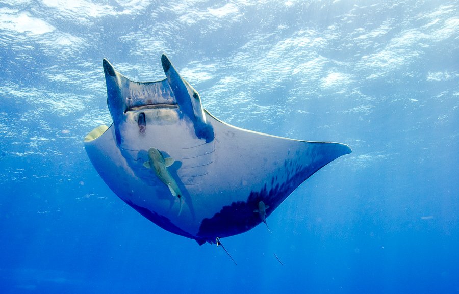 Azoren - Alexander Göbels