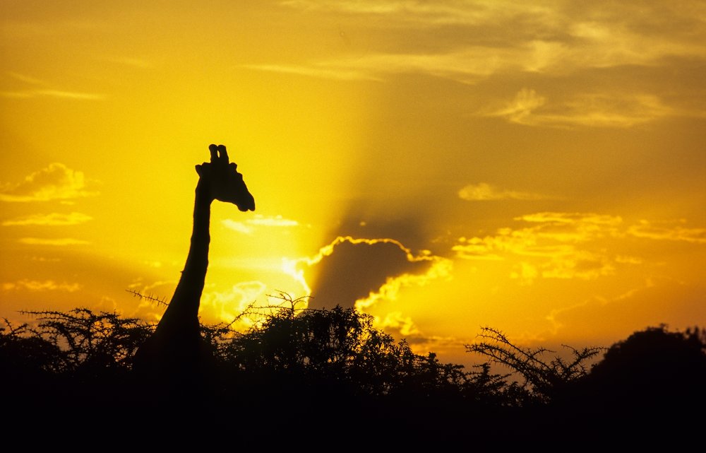 Kenia - Hartmut Fiebig