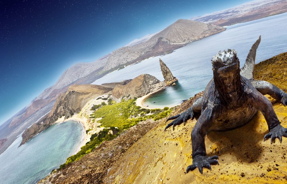 80 Tage - Andre Schumacher